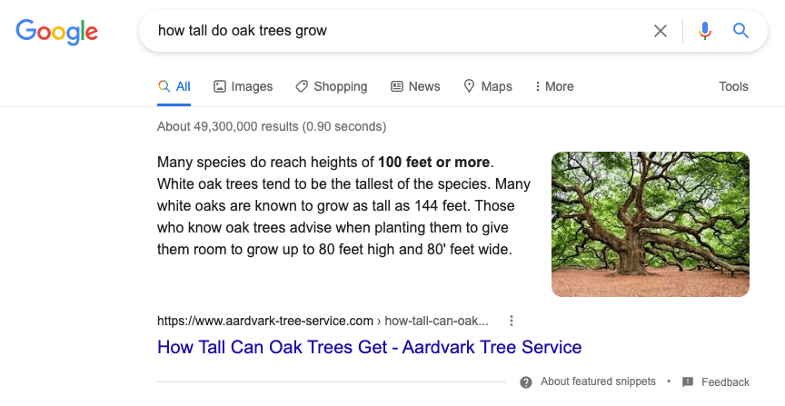 Featured Snippet Oak Trees