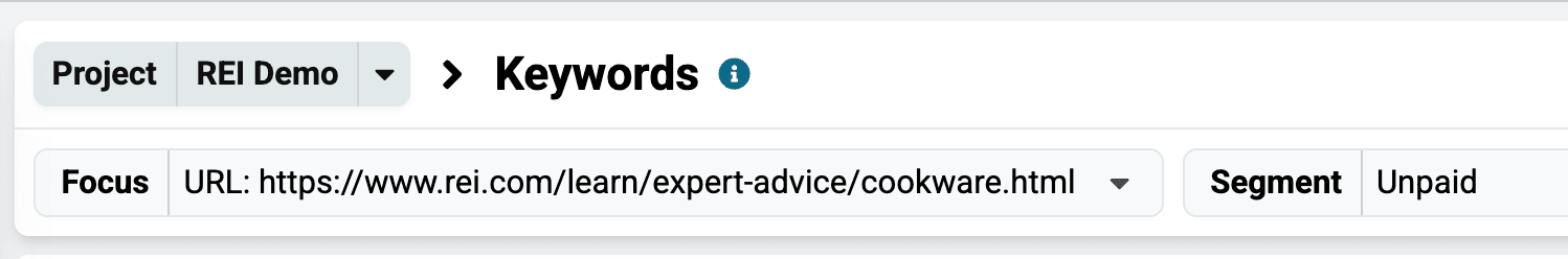 Keywords dashboard with the Focus set to the URL selected on the previous screen