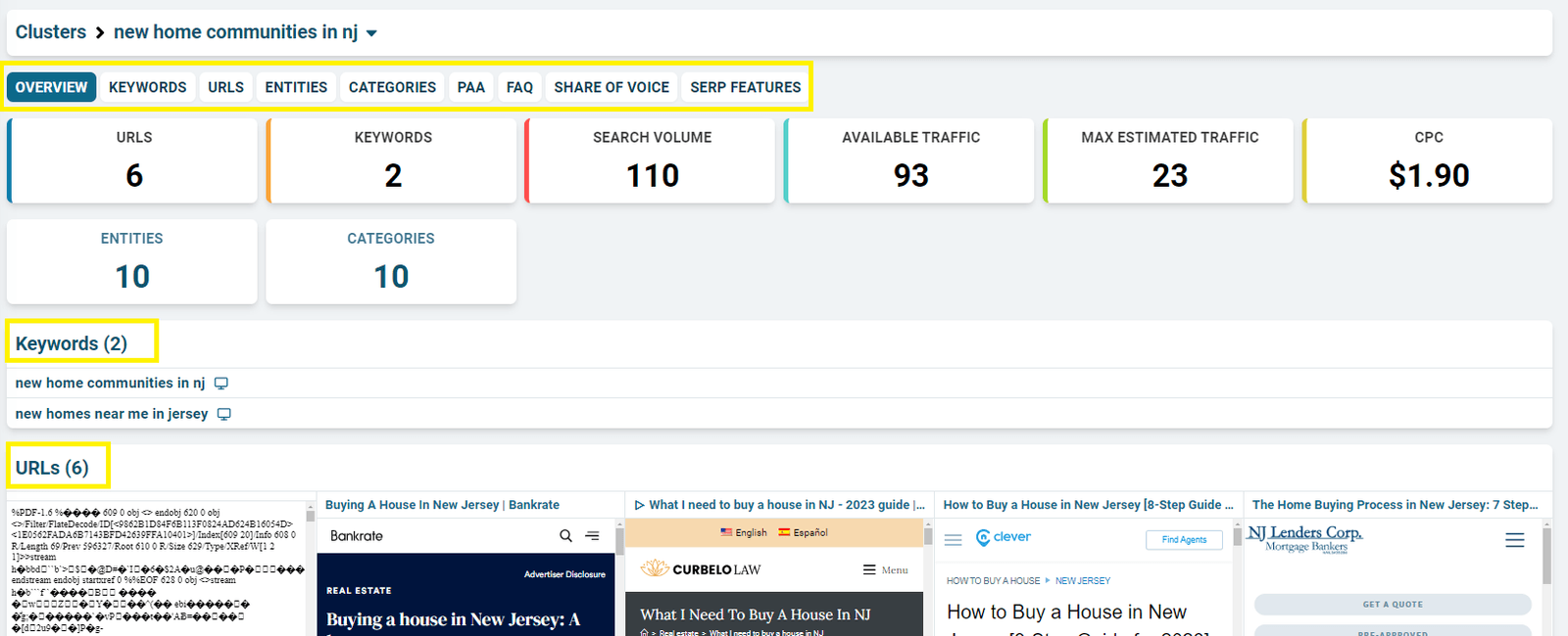 Expanded cluster showing its overview, URLs, and keywords
