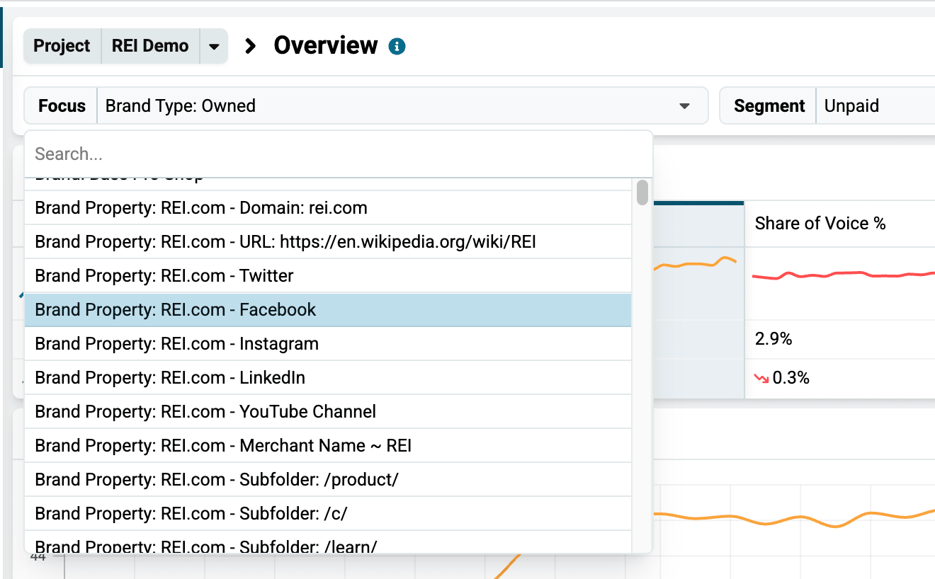 Dashboard with the Focus set to one brand property