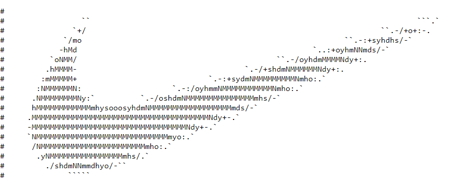 Nike Swoosh in robots.txt file