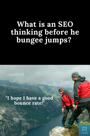 What is an SEO thinking before he bungee jumps